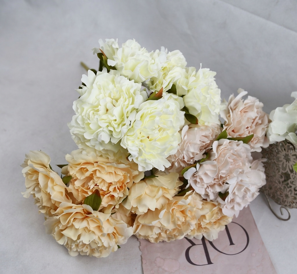 Peony Jumbo Cabang 7